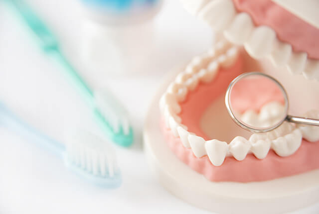 メインテナンス・予防歯科
